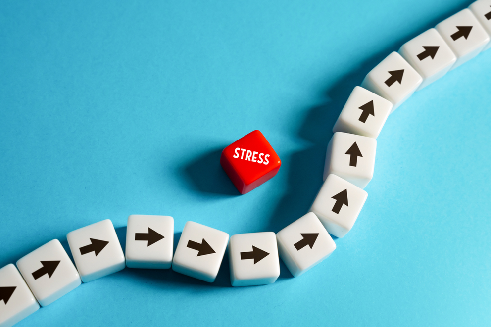 How to Reduce Stress and Cortisol Levels Naturally (With Fermented Foods)}