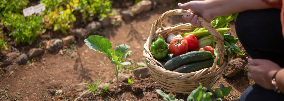 Homesteading for Gut Health: Ancestral Eating in the Modern World}