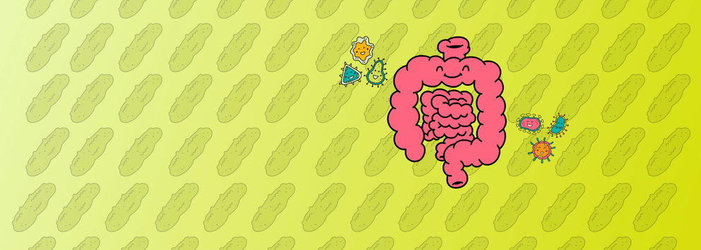 How to Reset Your Gut Health}
