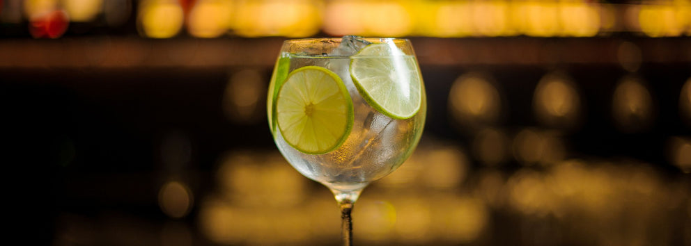 3 Healthy Cocktails for a Guilt Free Holiday Season}