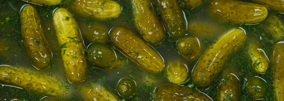 Your Top 7 Questions About Lacto Fermentation, Answered}