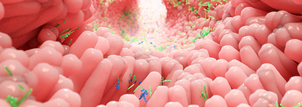 Gut Health and the Microbiome in 30 Seconds}