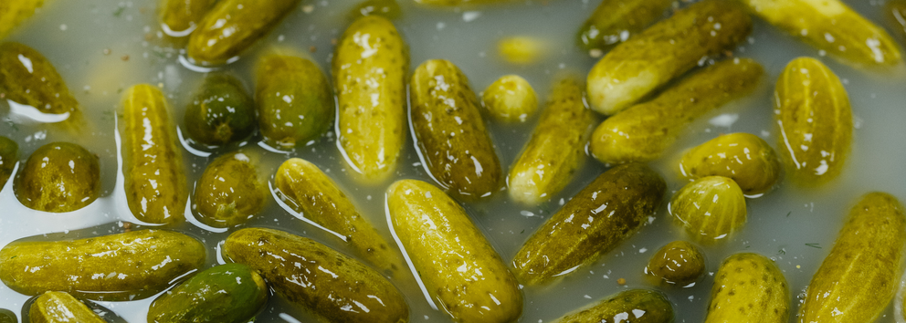 Why Did My Pickle Batch Fail? Four Things That Will Make or Break Your Ferment}