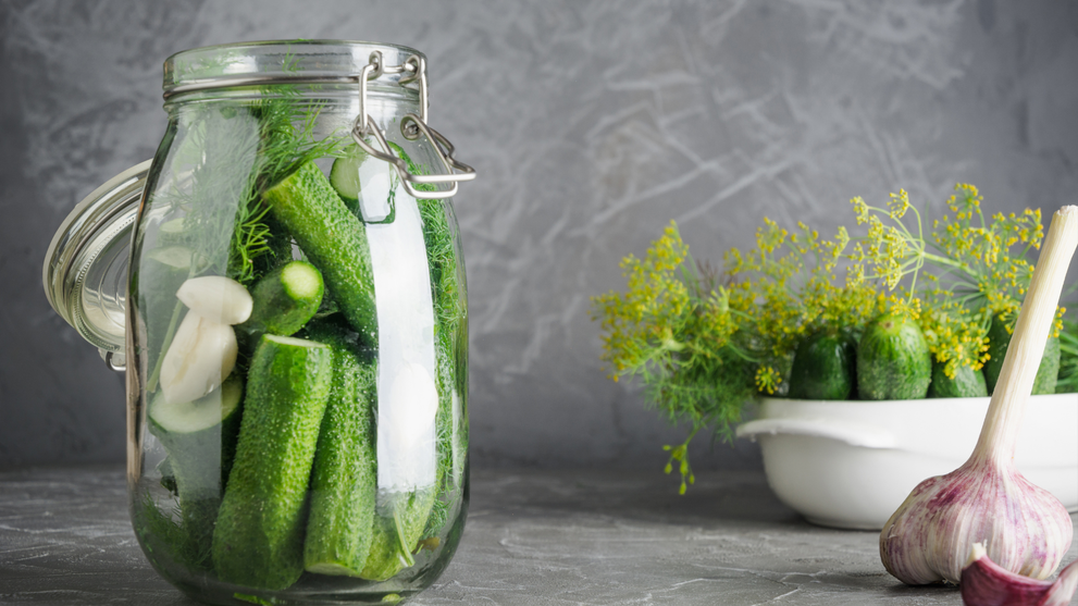 Fresh Cucumbers And Garlic In Fermentation Brine
