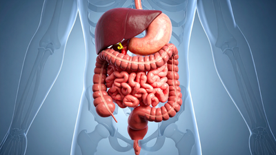 How To Start A Gut Health Routine With Fermented Foods