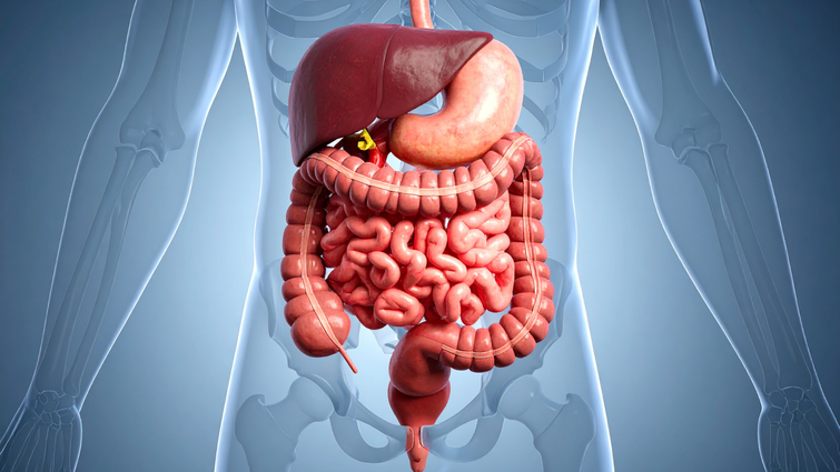 How To Start A Gut Health Routine With Fermented Foods