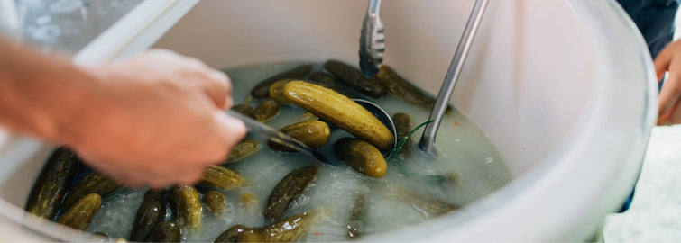 What Is Fermentation? Here's a Glossary of Important Terms