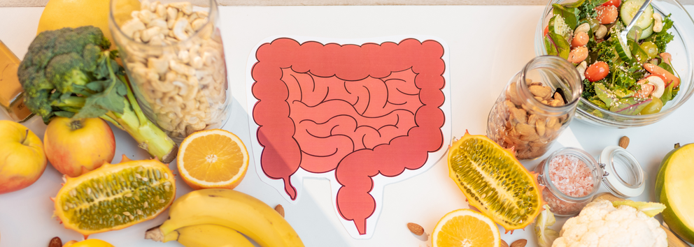 Unlocking the Power of Enzymes: The Key to Better Digestion, Gut Health, and a Longer Life}