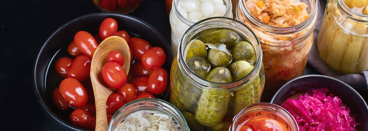 Fermentation Defined: Your top questions answered