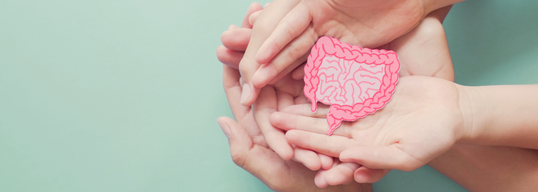 Reducing Colorectal Cancer Risk Through Gut Health