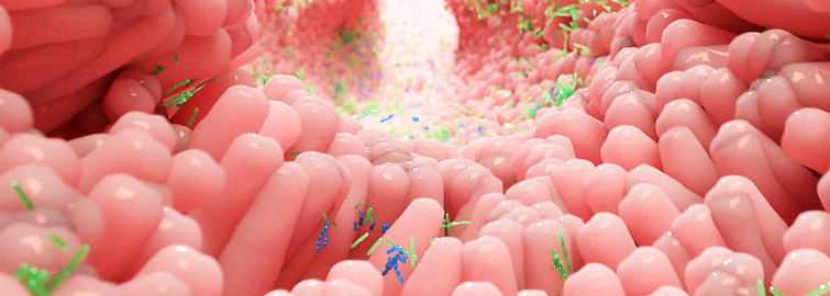 Gut Health and the Microbiome in 30 Seconds