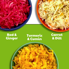 Best Sauerkraut Bundle