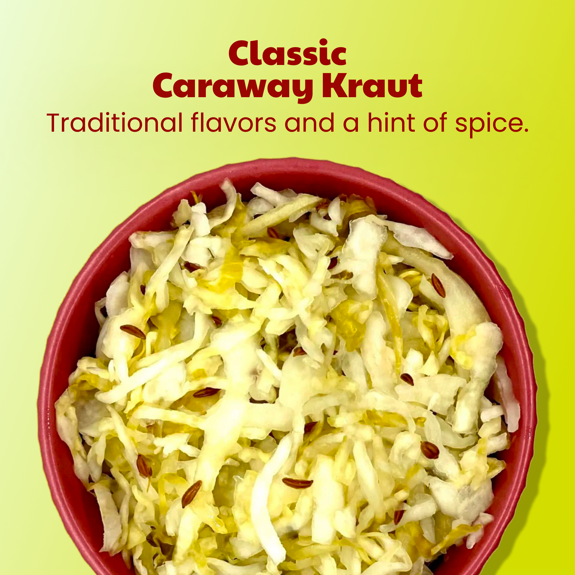 Classic Caraway Fermented Sauerkraut (3 PACK)