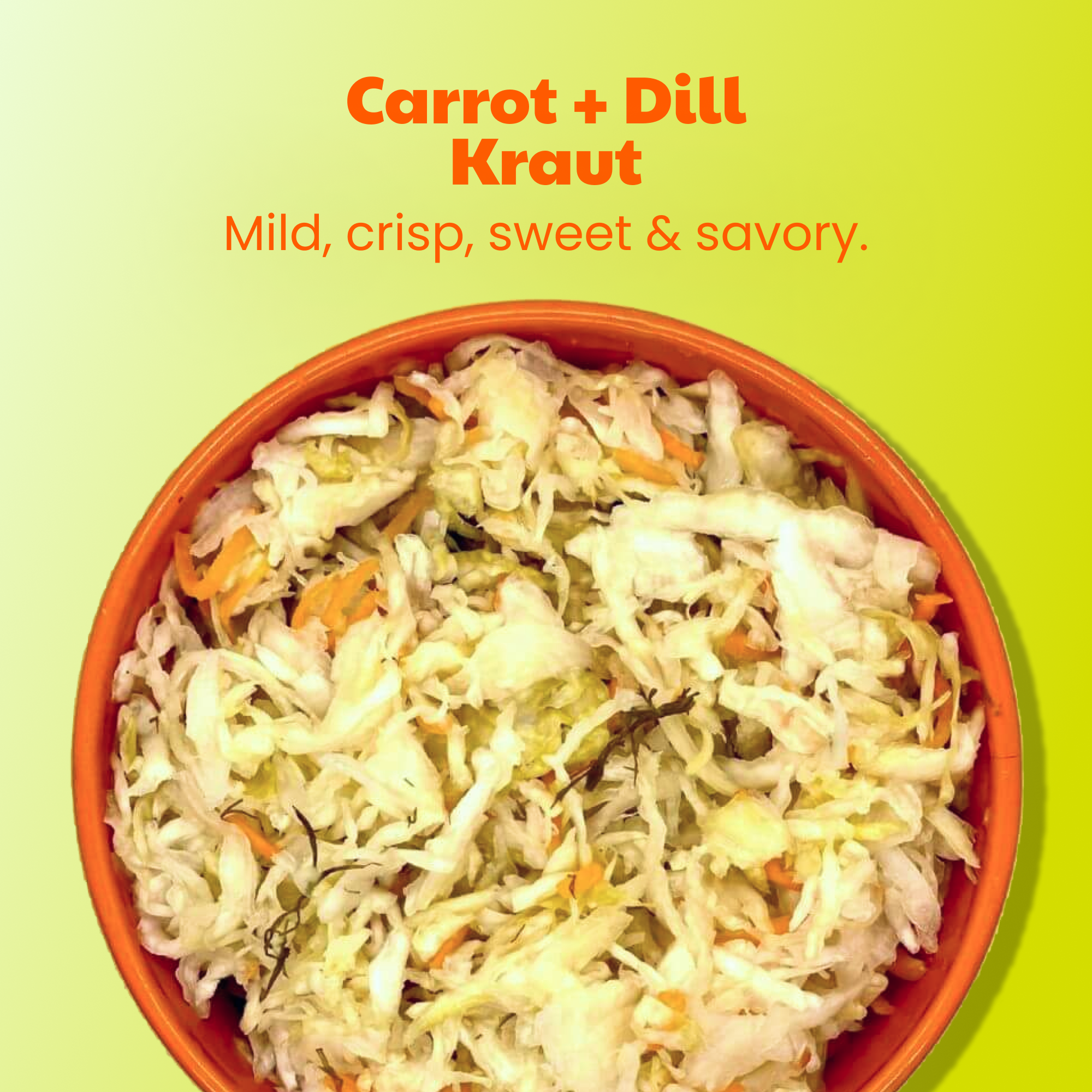 Carrot + Dill Fermented Sauerkraut (3 PACK)