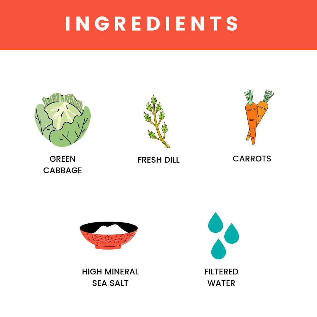 Carrot + Dill Fermented Sauerkraut (3 PACK)