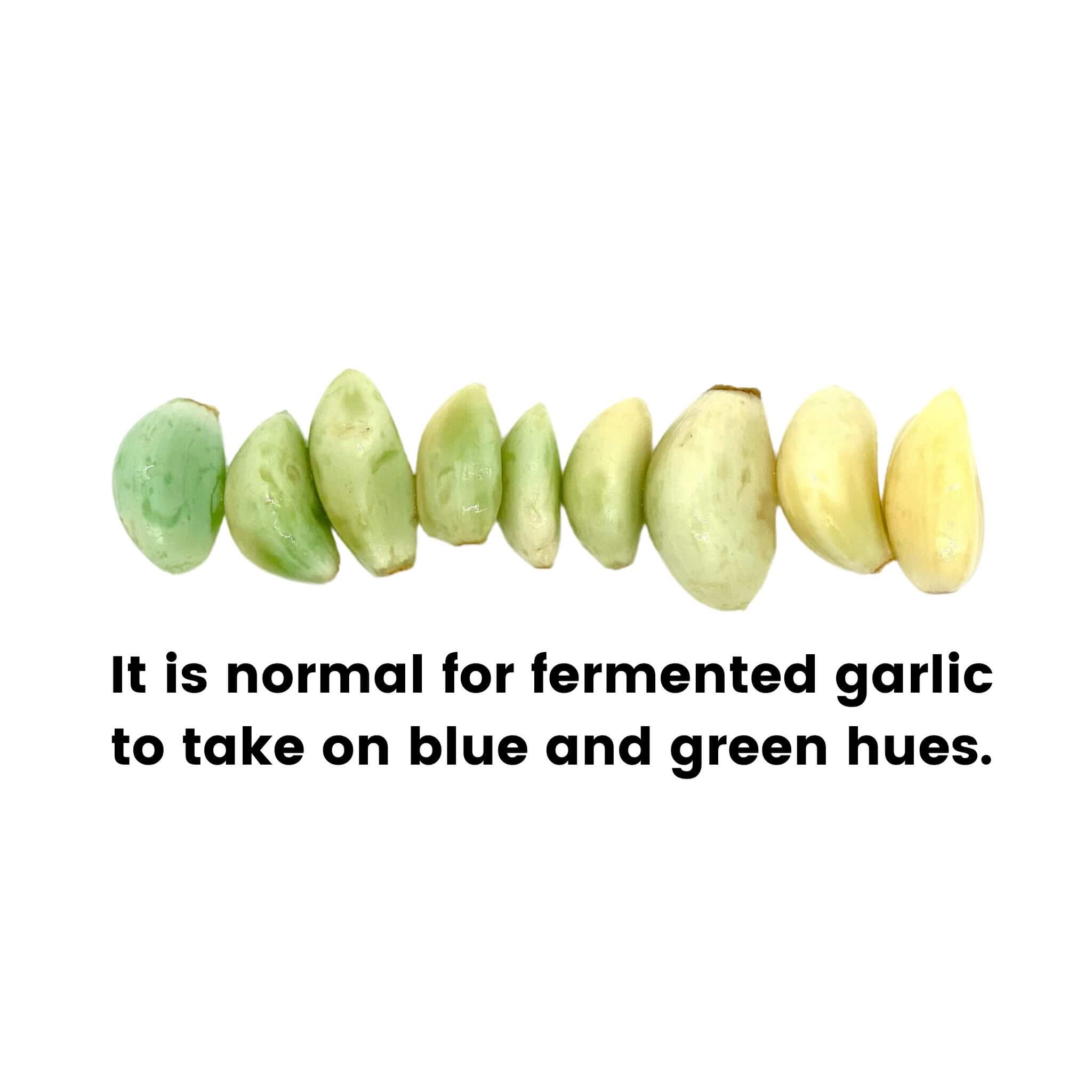 Fermented California Garlic