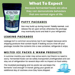 Dill Pickle Fermented Sauerkraut (3 PACK)